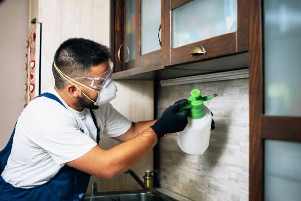  Clever, MO Pest Control Pros